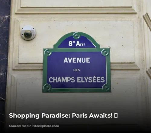 Shopping Paradise: Paris Awaits! 🛍️