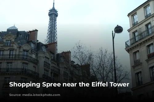 Shopping Spree near the Eiffel Tower