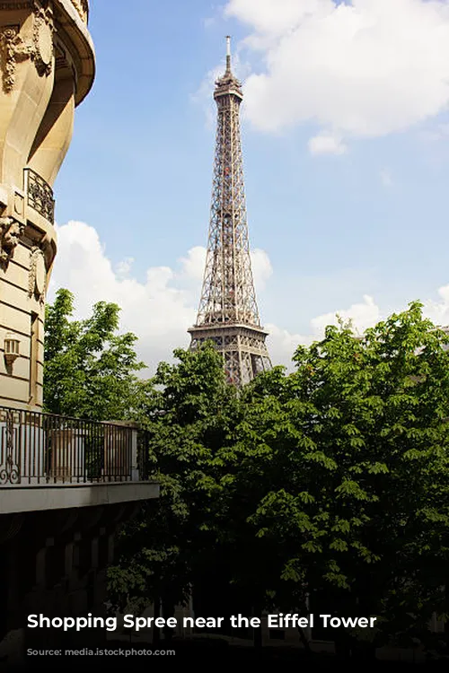 Shopping Spree near the Eiffel Tower