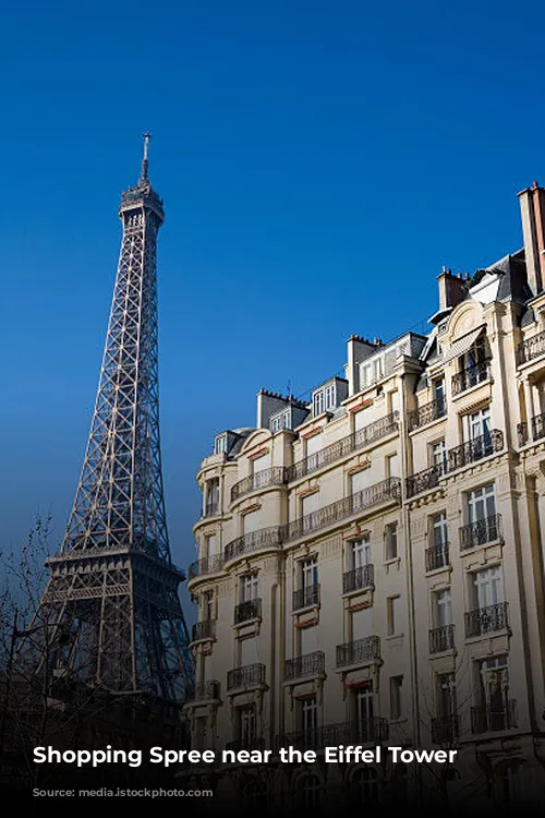 Shopping Spree near the Eiffel Tower