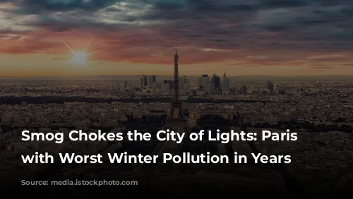 Smog Chokes the City of Lights: Paris Struggles with Worst Winter Pollution in Years