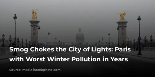 Smog Chokes the City of Lights: Paris Struggles with Worst Winter Pollution in Years