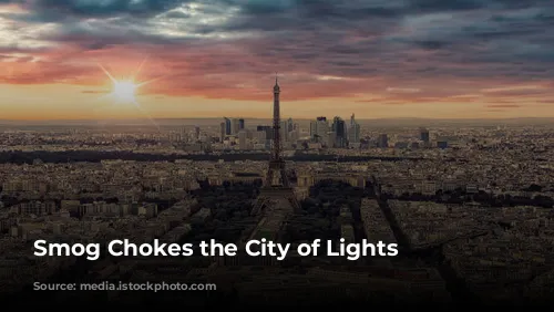 Smog Chokes the City of Lights