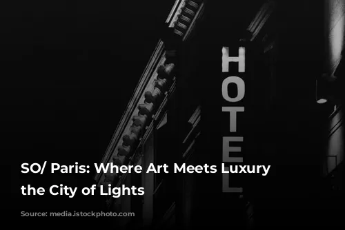 SO/ Paris: Where Art Meets Luxury in the City of Lights