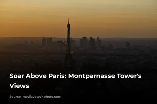 Soar Above Paris: Montparnasse Tower's Panoramic Views