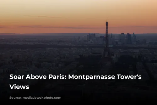 Soar Above Paris: Montparnasse Tower's Panoramic Views