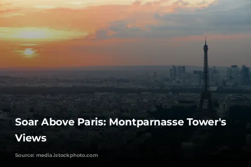 Soar Above Paris: Montparnasse Tower's Panoramic Views