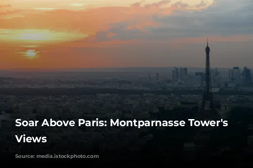 Soar Above Paris: Montparnasse Tower's Panoramic Views