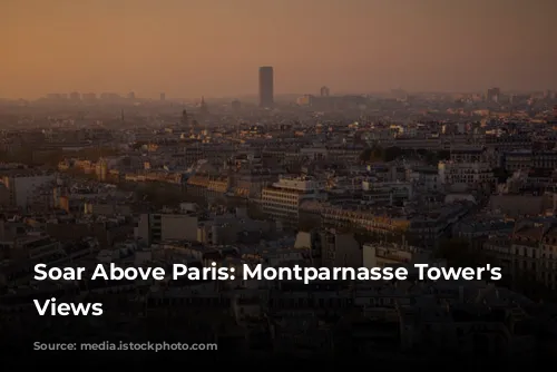 Soar Above Paris: Montparnasse Tower's Panoramic Views