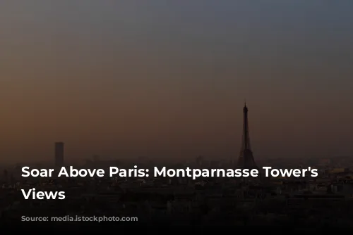 Soar Above Paris: Montparnasse Tower's Panoramic Views