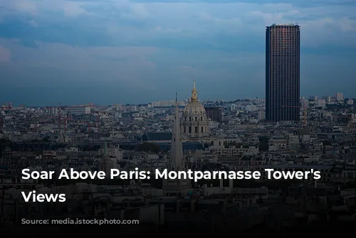 Soar Above Paris: Montparnasse Tower's Panoramic Views