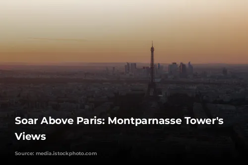 Soar Above Paris: Montparnasse Tower's Panoramic Views