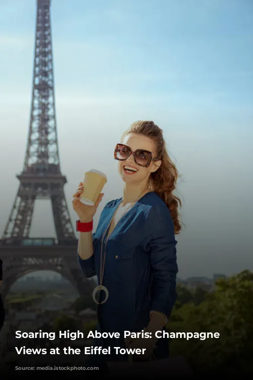 Soaring High Above Paris: Champagne and Views at the Eiffel Tower