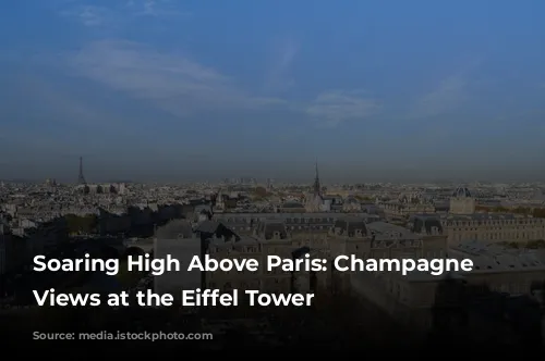 Soaring High Above Paris: Champagne and Views at the Eiffel Tower