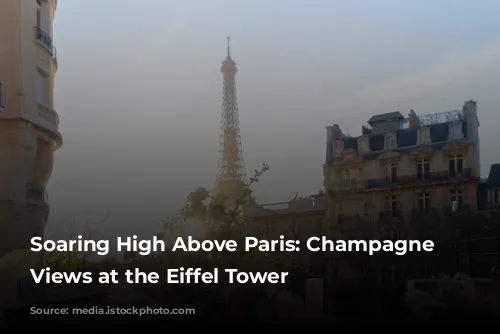 Soaring High Above Paris: Champagne and Views at the Eiffel Tower