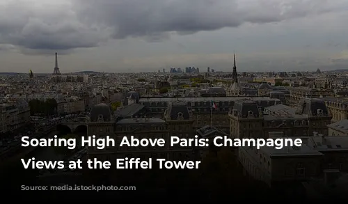 Soaring High Above Paris: Champagne and Views at the Eiffel Tower