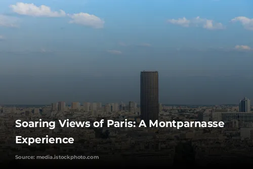 Soaring Views of Paris: A Montparnasse Tower Experience