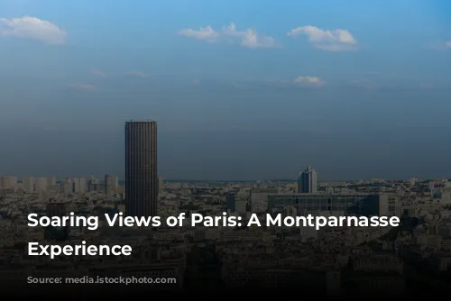 Soaring Views of Paris: A Montparnasse Tower Experience