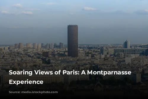 Soaring Views of Paris: A Montparnasse Tower Experience