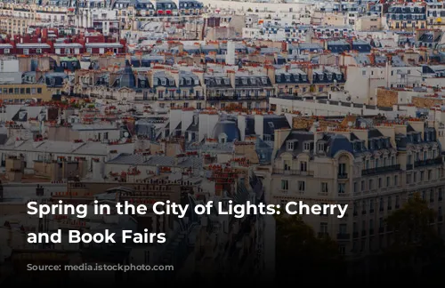 Spring in the City of Lights: Cherry Blossoms and Book Fairs