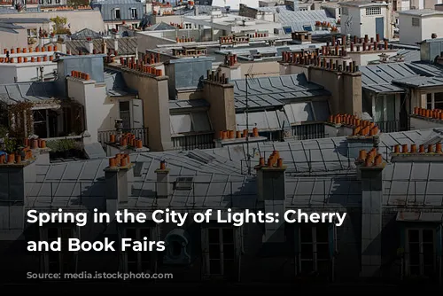 Spring in the City of Lights: Cherry Blossoms and Book Fairs