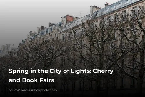 Spring in the City of Lights: Cherry Blossoms and Book Fairs