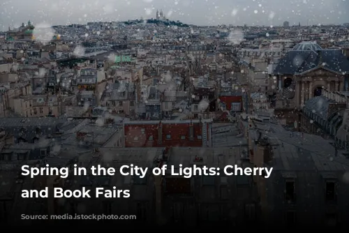 Spring in the City of Lights: Cherry Blossoms and Book Fairs