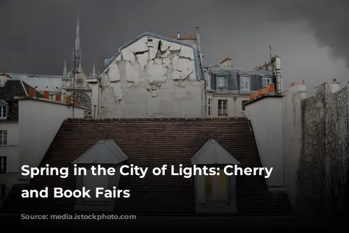 Spring in the City of Lights: Cherry Blossoms and Book Fairs