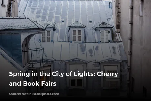 Spring in the City of Lights: Cherry Blossoms and Book Fairs