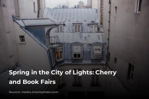 Spring in the City of Lights: Cherry Blossoms and Book Fairs