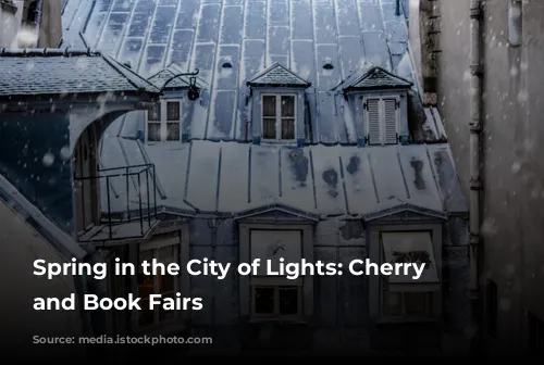 Spring in the City of Lights: Cherry Blossoms and Book Fairs