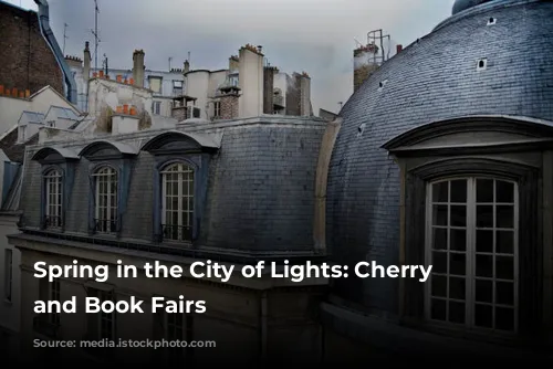 Spring in the City of Lights: Cherry Blossoms and Book Fairs