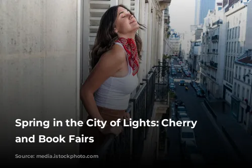 Spring in the City of Lights: Cherry Blossoms and Book Fairs