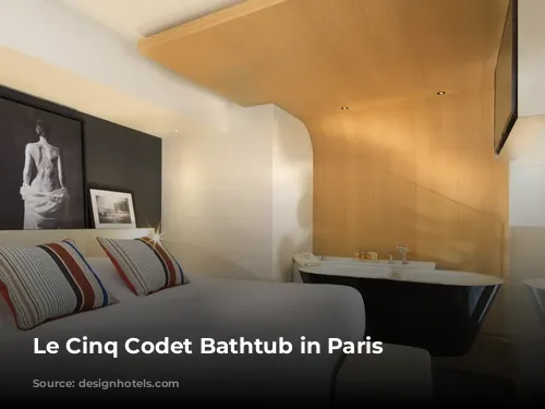 Le Cinq Codet Bathtub in Paris