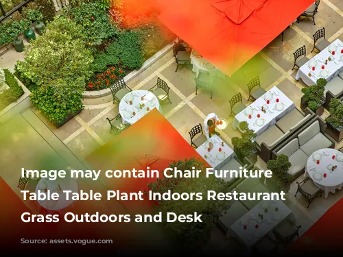 Image may contain Chair Furniture Dining Table Table Plant Indoors Restaurant Terrace Grass Outdoors and Desk