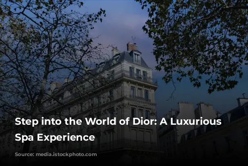 Step into the World of Dior: A Luxurious Parisian Spa Experience