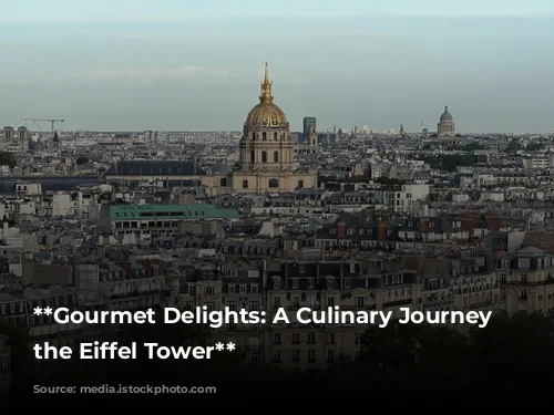  **Gourmet Delights: A Culinary Journey Near the Eiffel Tower** 