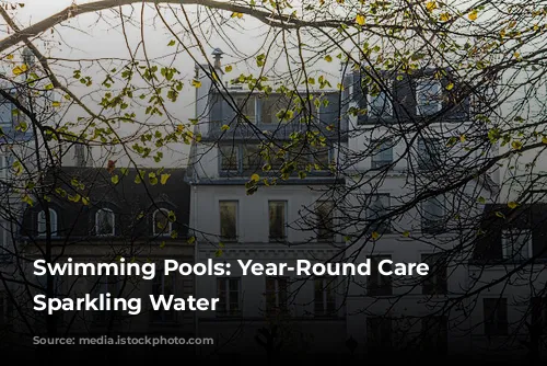 Swimming Pools: Year-Round Care for Sparkling Water