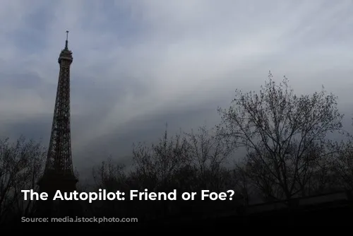 The Autopilot: Friend or Foe?