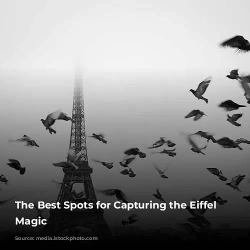 The Best Spots for Capturing the Eiffel Tower's Magic