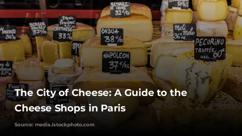 The City of Cheese: A Guide to the Best Cheese Shops in Paris