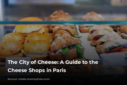 The City of Cheese: A Guide to the Best Cheese Shops in Paris