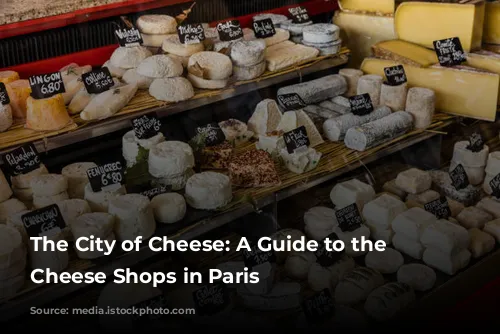 The City of Cheese: A Guide to the Best Cheese Shops in Paris