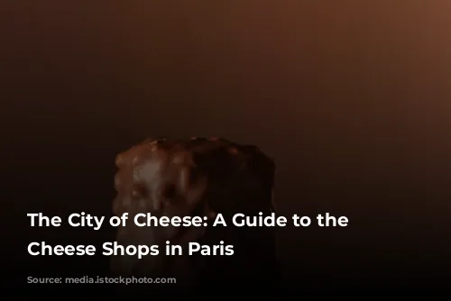 The City of Cheese: A Guide to the Best Cheese Shops in Paris