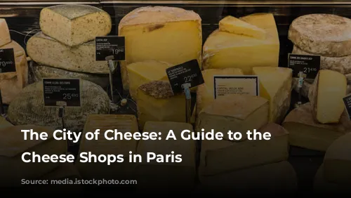 The City of Cheese: A Guide to the Best Cheese Shops in Paris