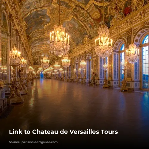 Link to Chateau de Versailles Tours