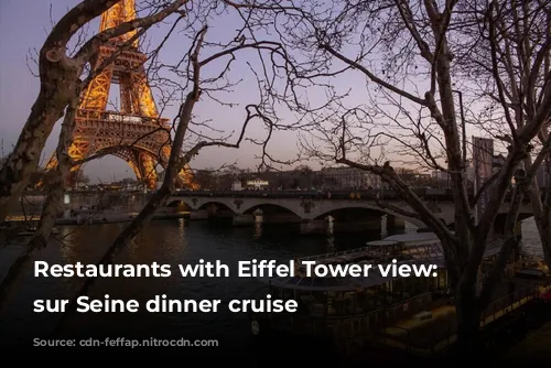 Restaurants with Eiffel Tower view: Ducasse sur Seine dinner cruise