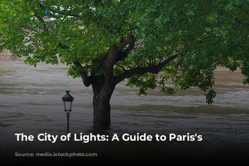 The City of Lights: A Guide to Paris's Seasons