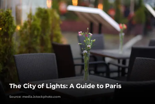 The City of Lights: A Guide to Paris