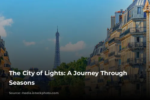 The City of Lights: A Journey Through Parisian Seasons